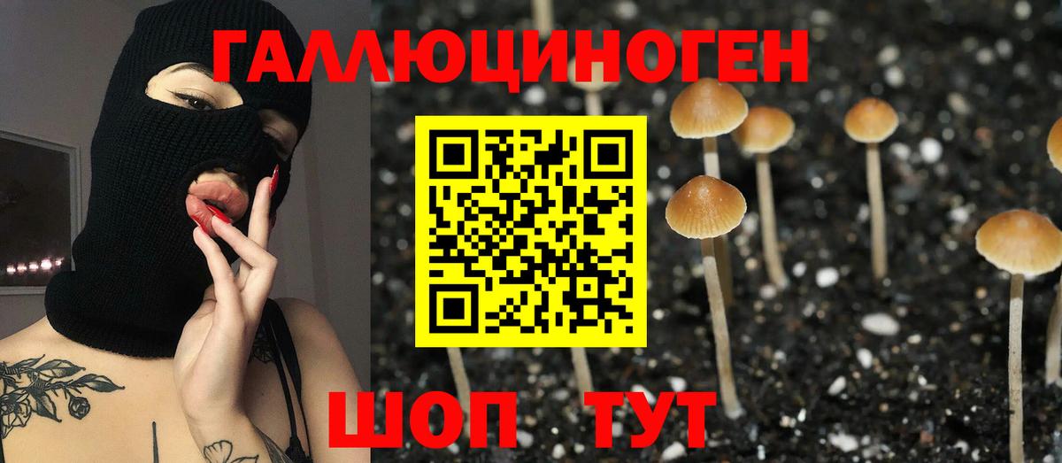 Мурино  Псилоцибиновые грибы прущие грибы  Вход с VPN 